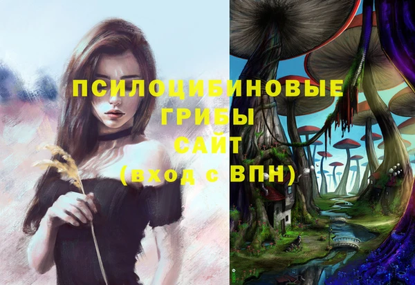 мдпв Беломорск