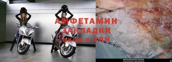 ГАЛЛЮЦИНОГЕННЫЕ ГРИБЫ Белокуриха